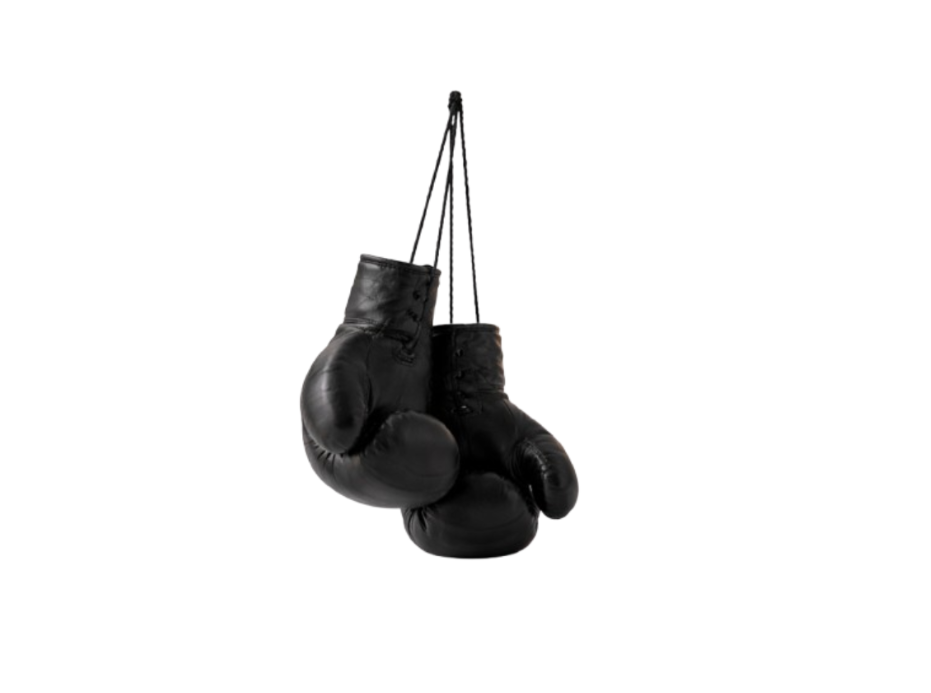 Escultura Decorativa- Guantes de Boxeo -0
