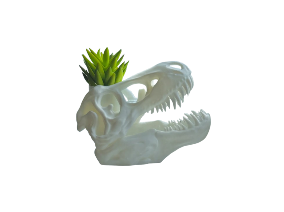 Macetero Prints Patro- T-Rex Esqueleto-0