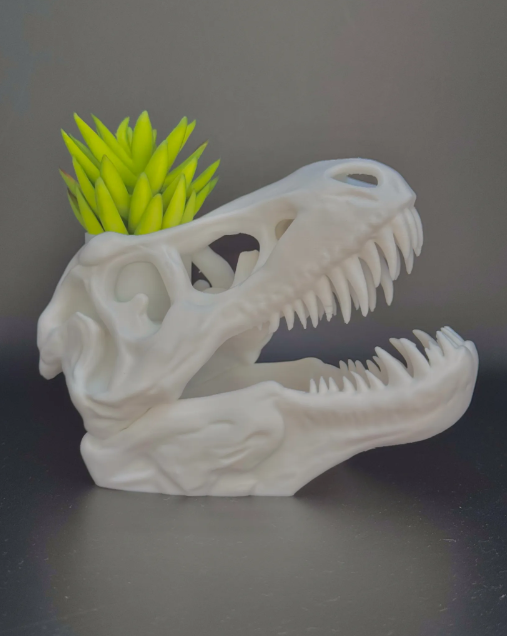 Macetero Prints Patro- T-Rex Esqueleto-1