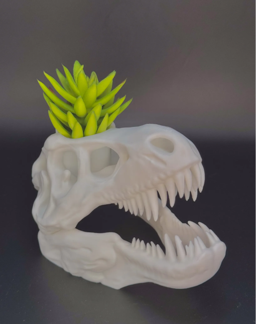 Macetero Prints Patro- T-Rex Esqueleto-2