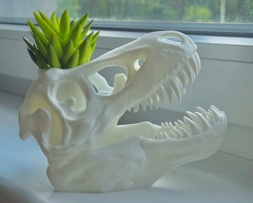 Macetero Prints Patro- T-Rex Esqueleto-3