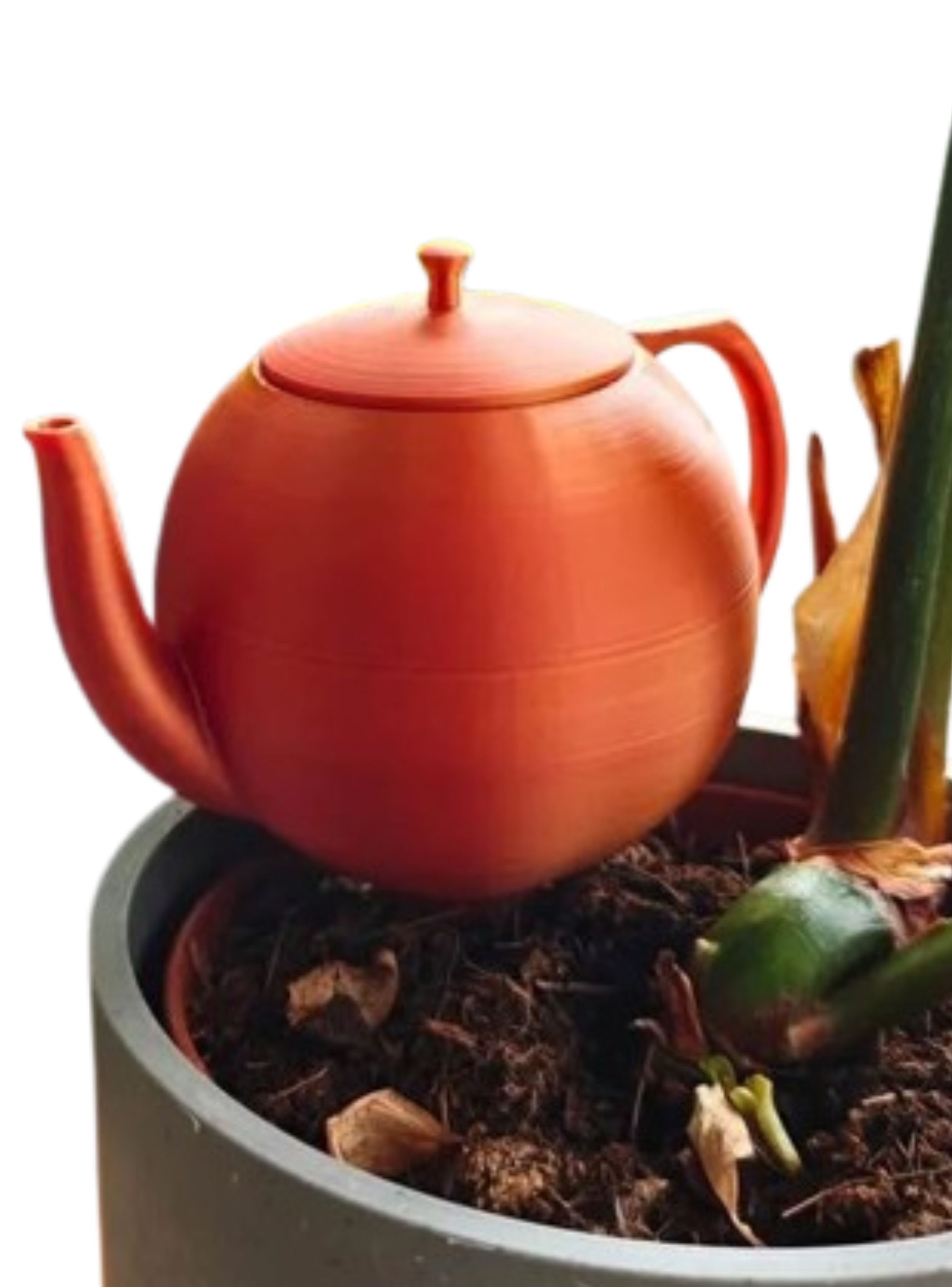 Globo de riego para platas - Tetera-1