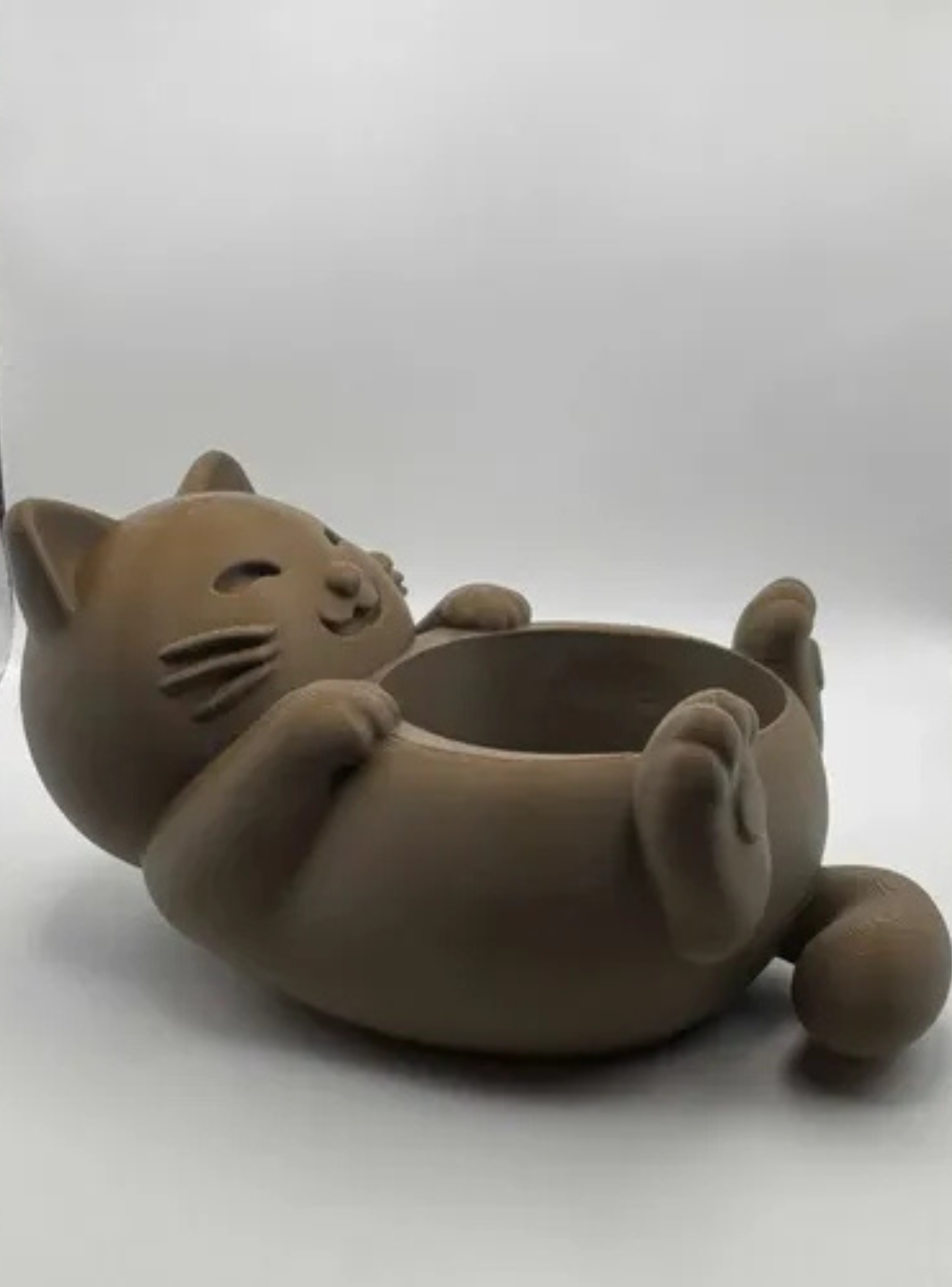 Cuenco Para Gatos-2