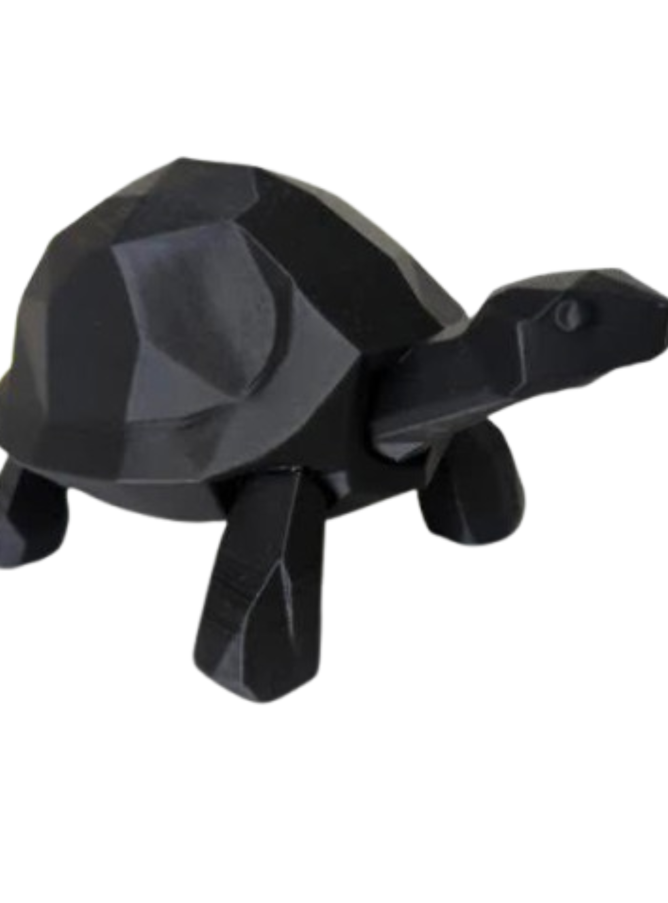 Decoración - Tortuga Caminando Polígono-2