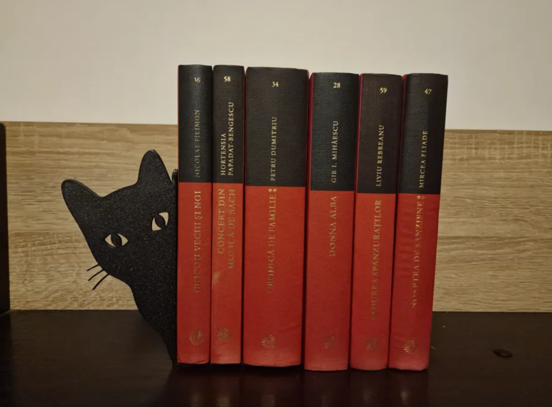 Decoración Sujeta libros - Gato asomándose-2