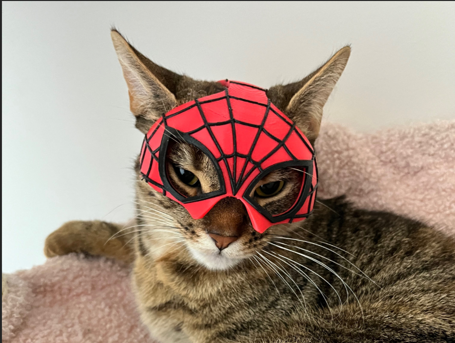 Máscara de Araña Gato-3