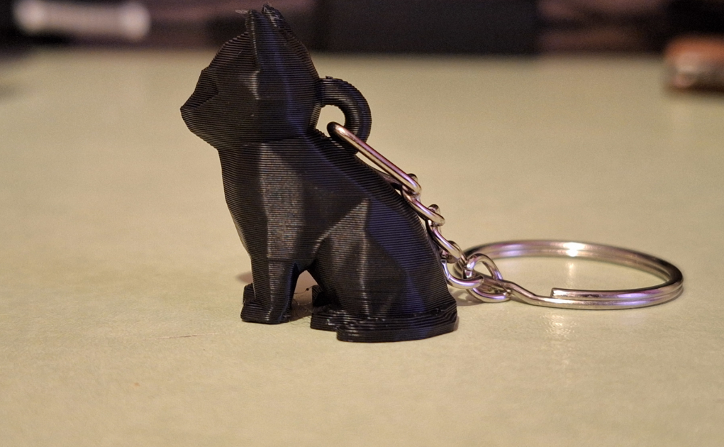 Llavero de Gato Polígono-2