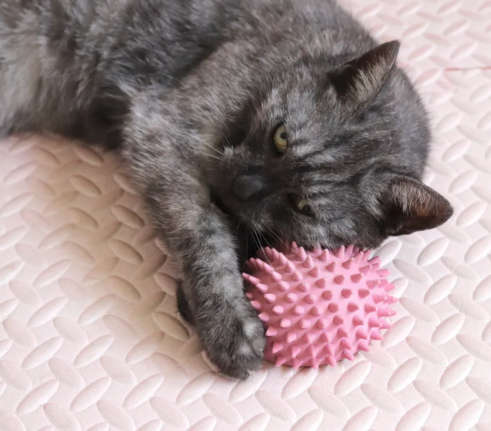 Rascador Para Gatos - Figura De Erizo-2