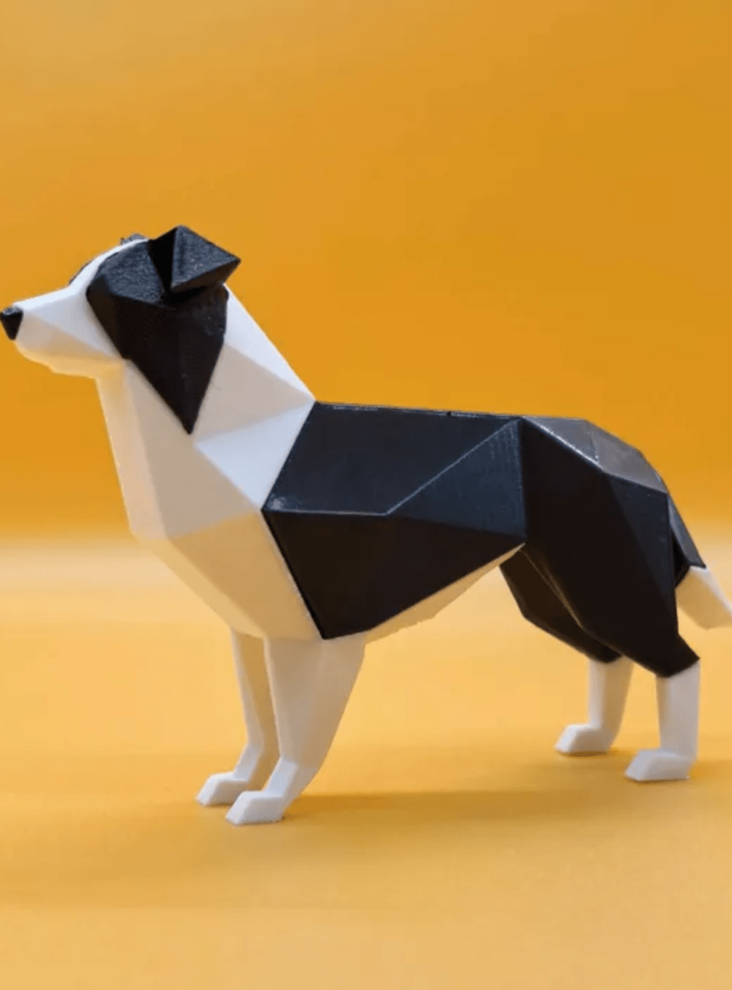 Figura Border Collie-2