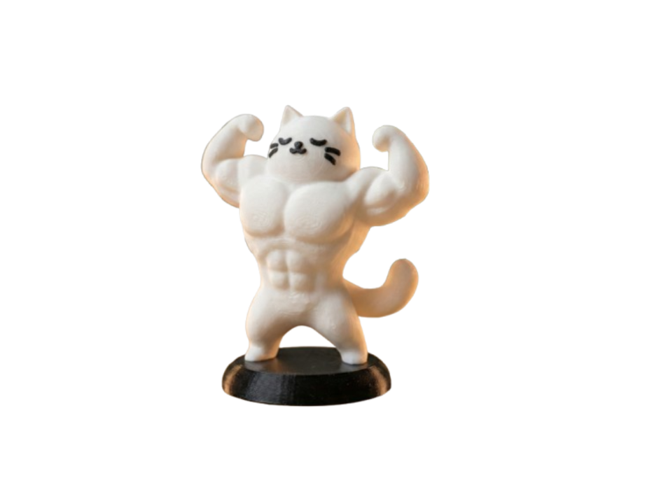 Figura Decorativa- Gato Culturista -0