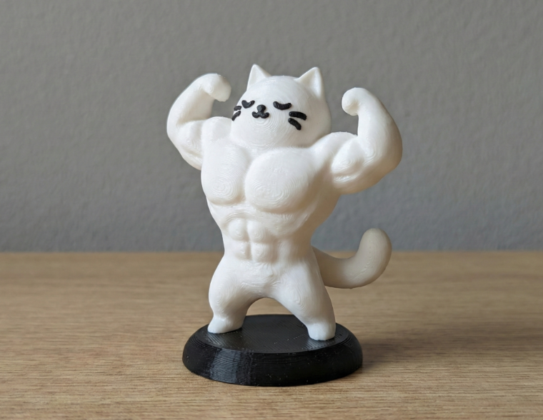 Figura Decorativa- Gato Culturista -1