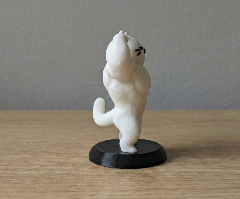 Figura Decorativa- Gato Culturista -3