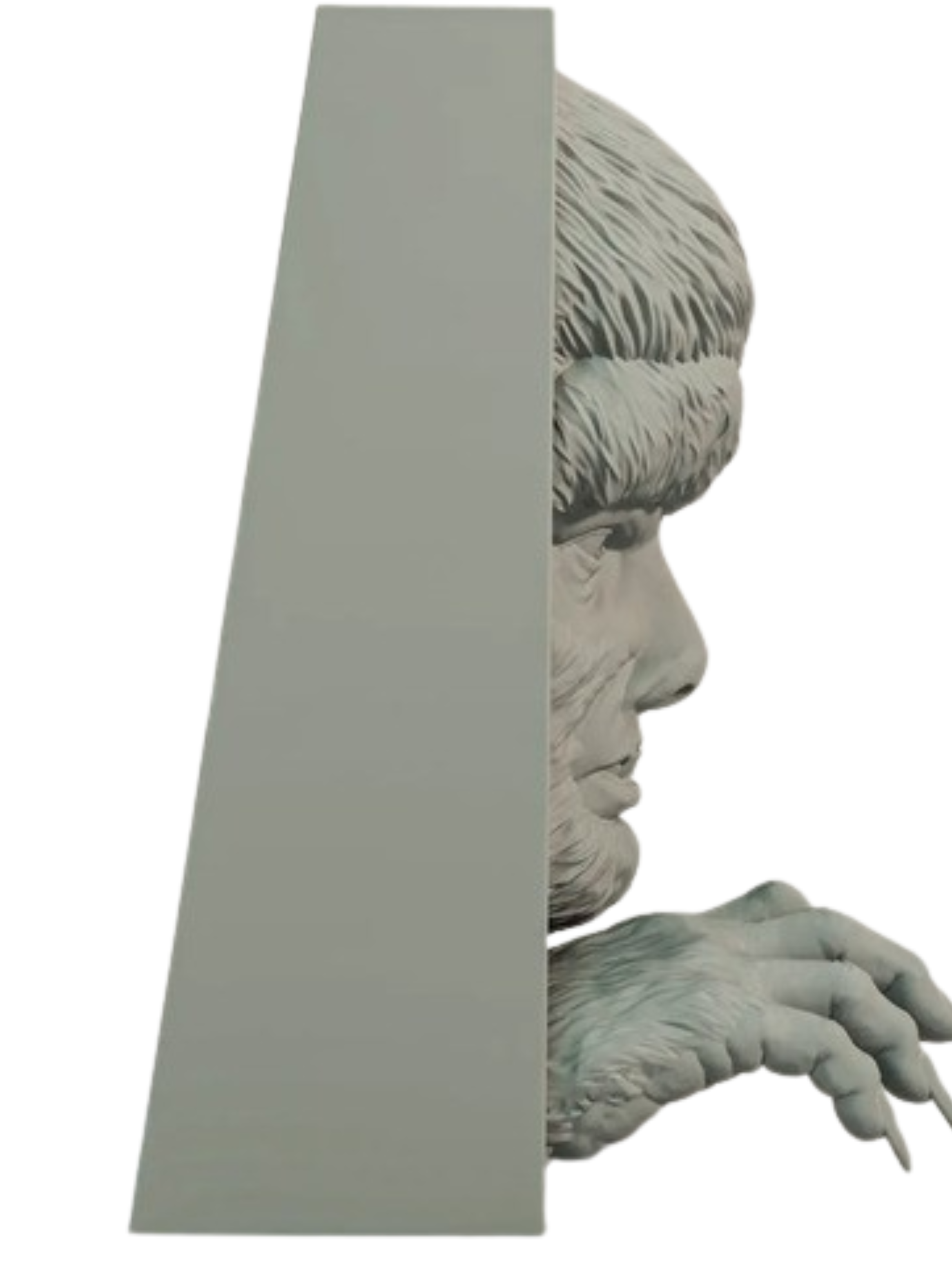 Rincón De Libros - Hombre Lobo-4