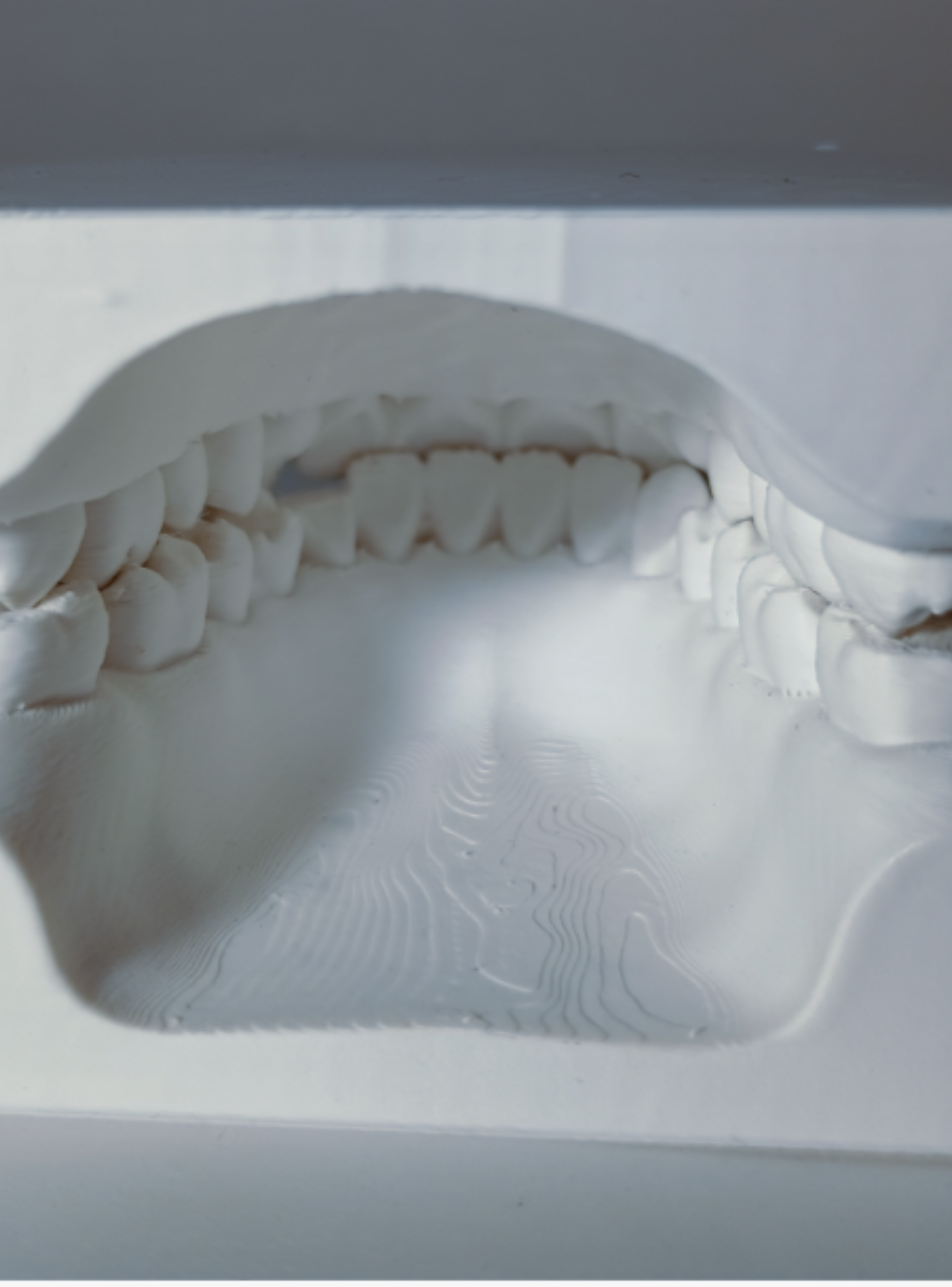 Modelo dental para enseñanza-1