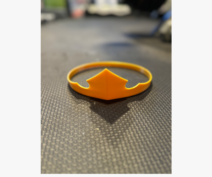 Corona de la Princesa Aurora-2