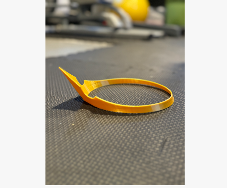 Corona de la Princesa Aurora-3