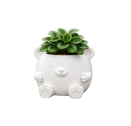 Macetero Decorativo Hogar- Forma Osito 16 cm Blanco-0