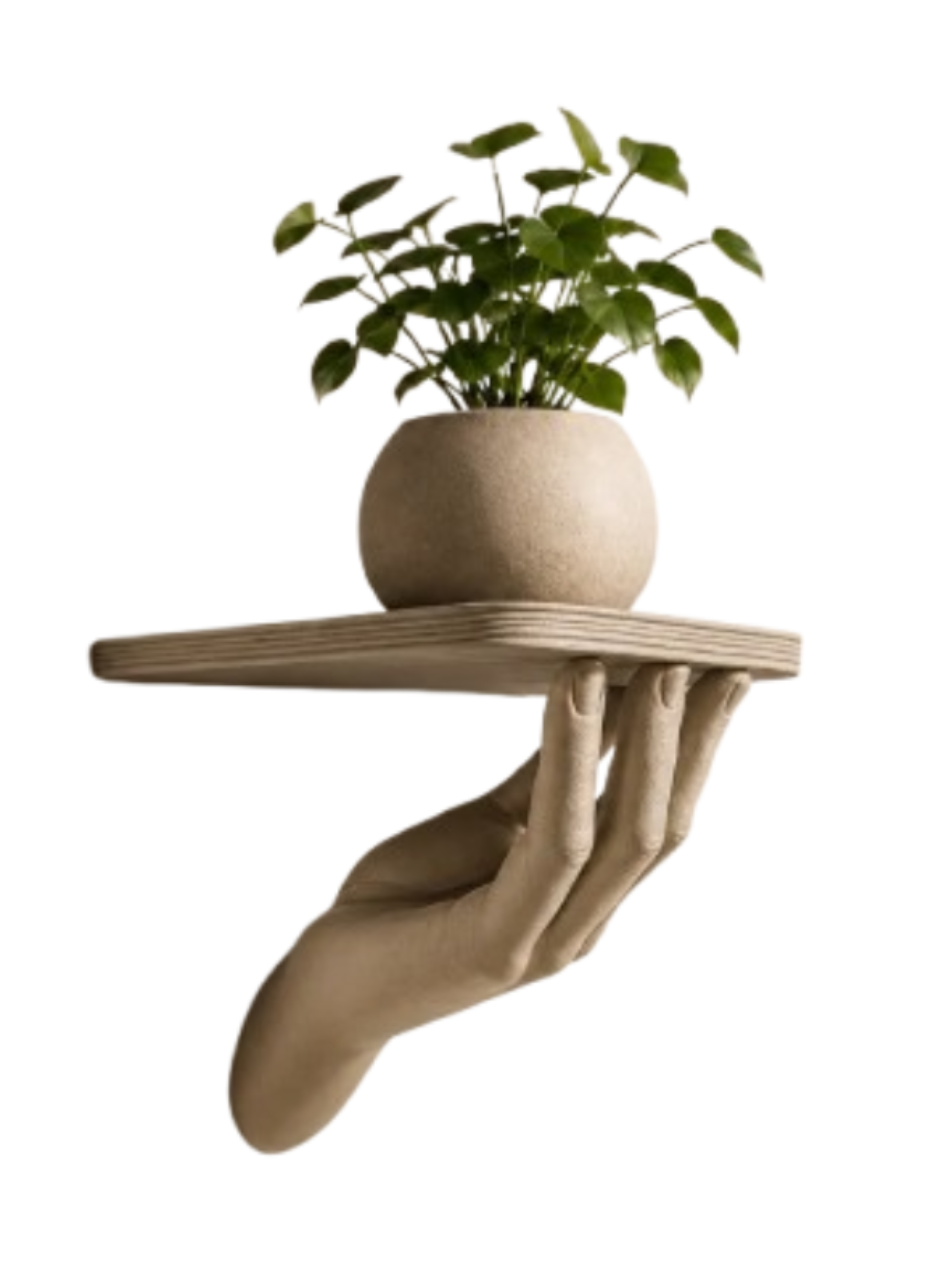 Estanteria Decorativa Prints Patro - Mano Realista-0