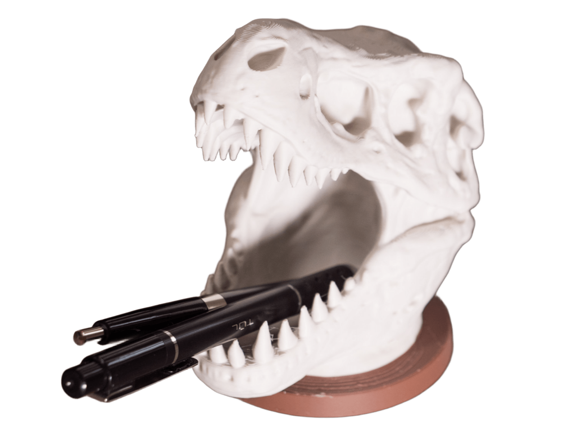 Portalápices - Calavera de T-REX-2