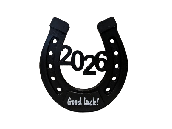 Adorno de Navidad - Par de Herraduras de la suerte blanco y negro-2