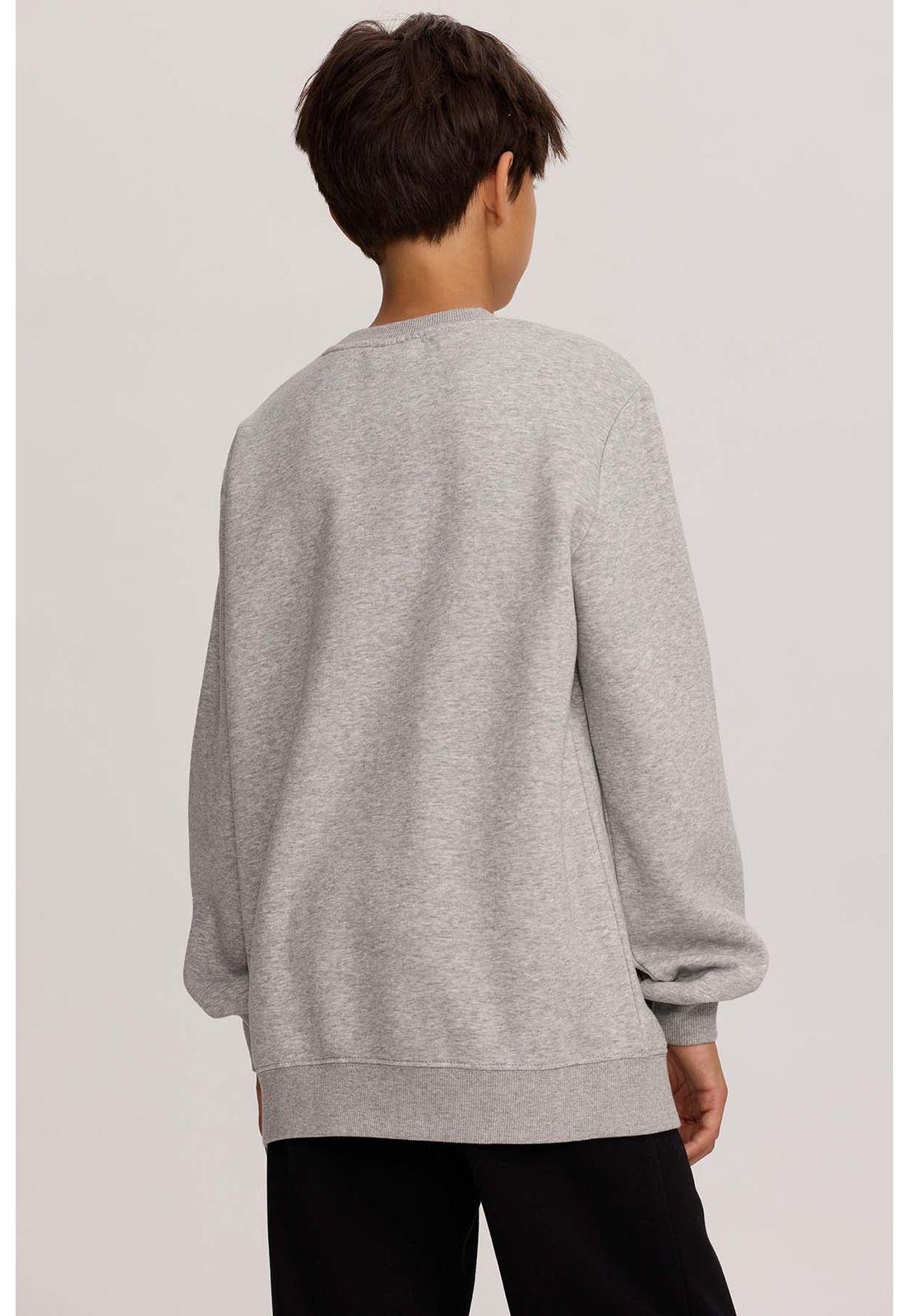 Polerón Niño Básico Print Gris Melange-2