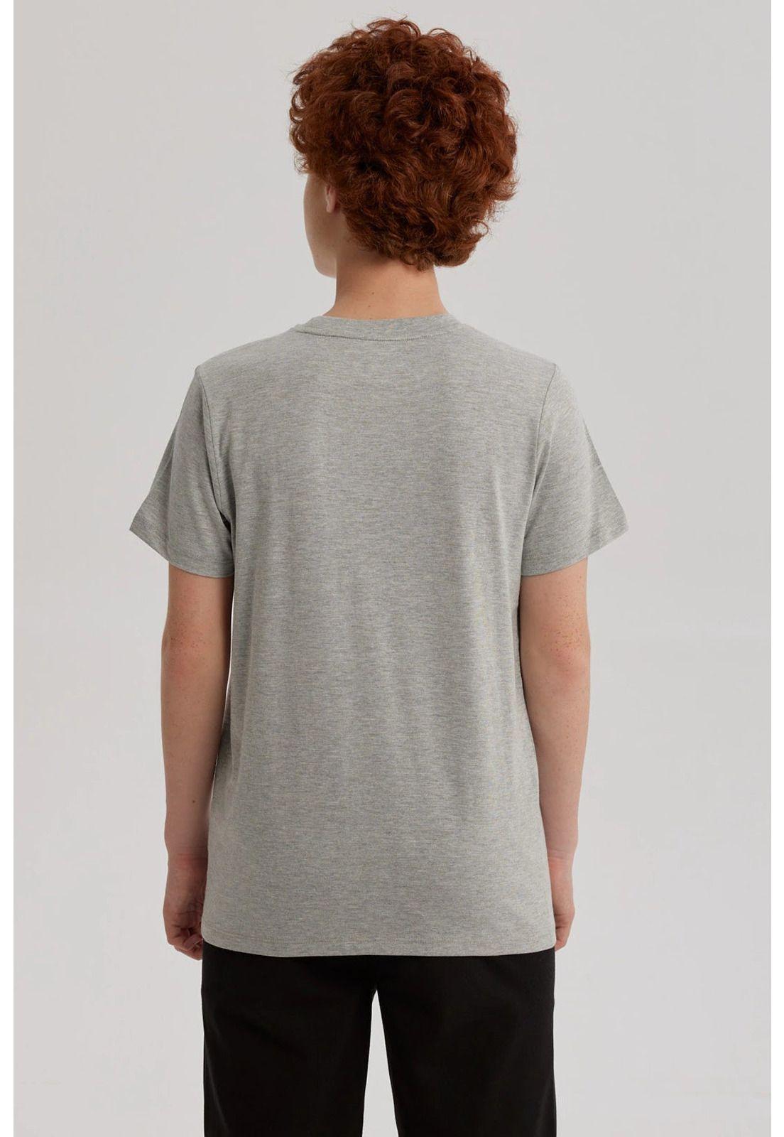 Polera Niño Básica Estampada Gris Melange - lll-2