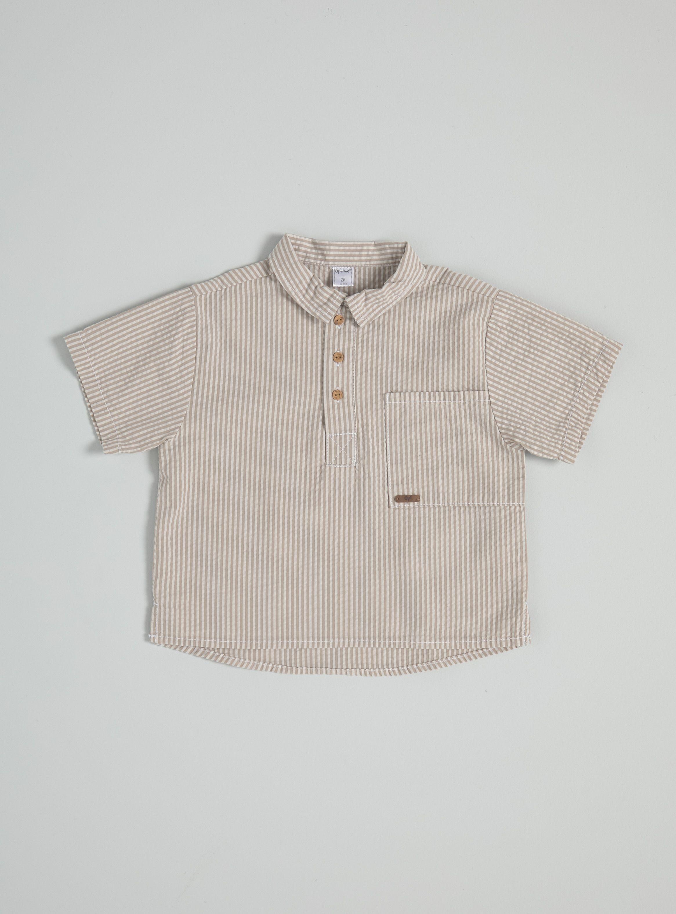 Camisa de Vestir con Rayas Muy Finas-0