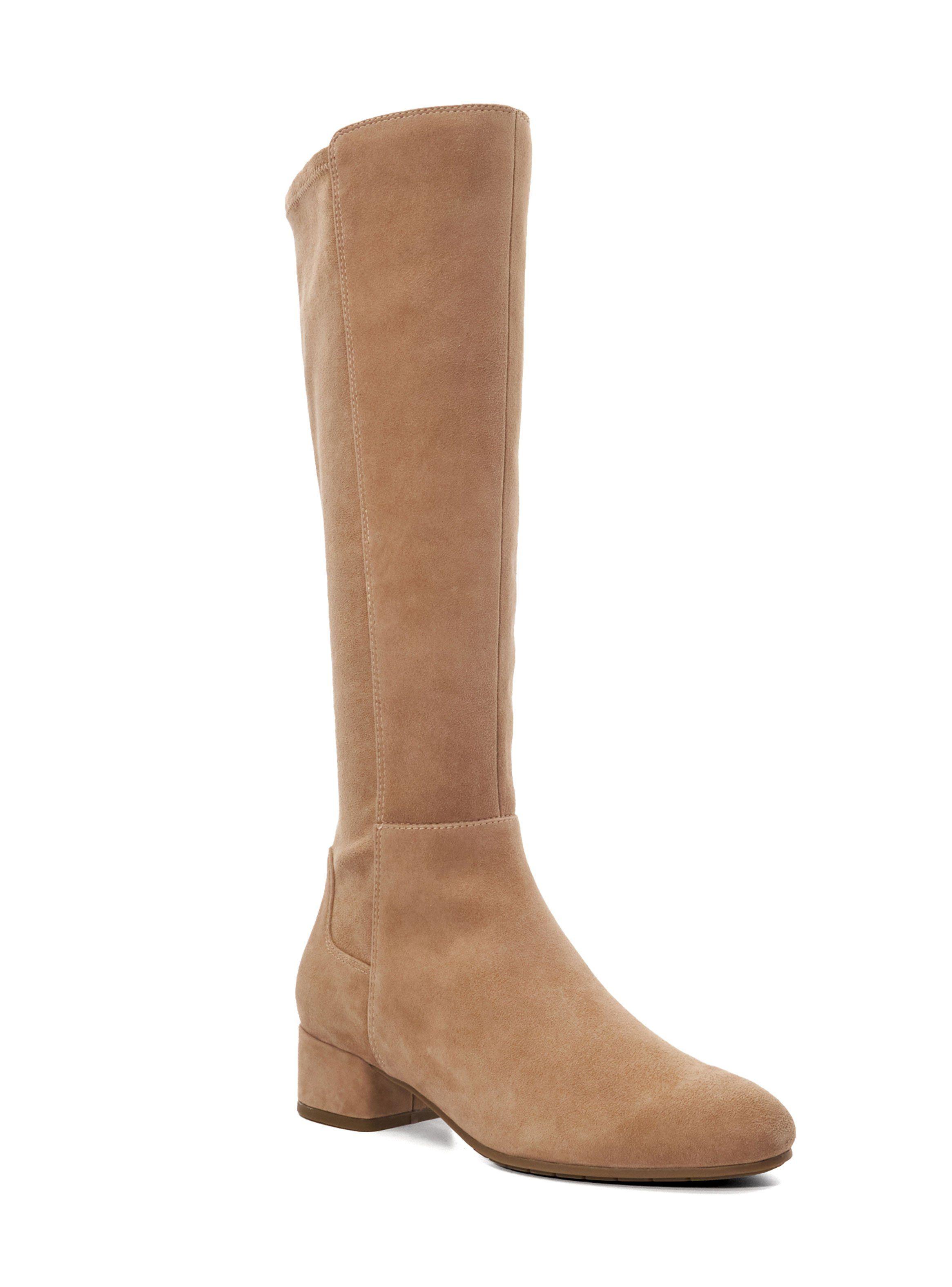 Bota Mujer Tayla-1