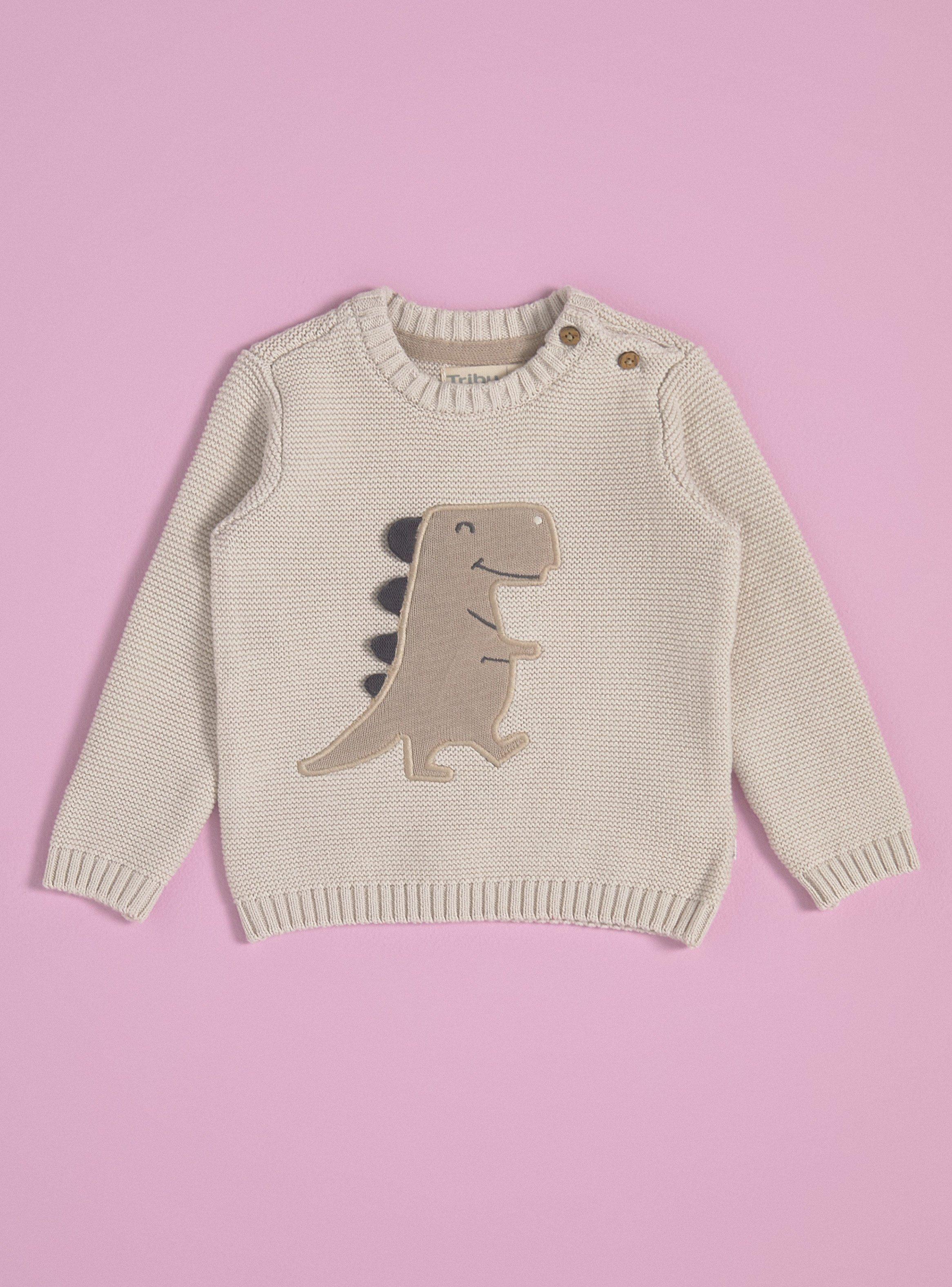 Sweater con Aplicación de Dinosaurio-0