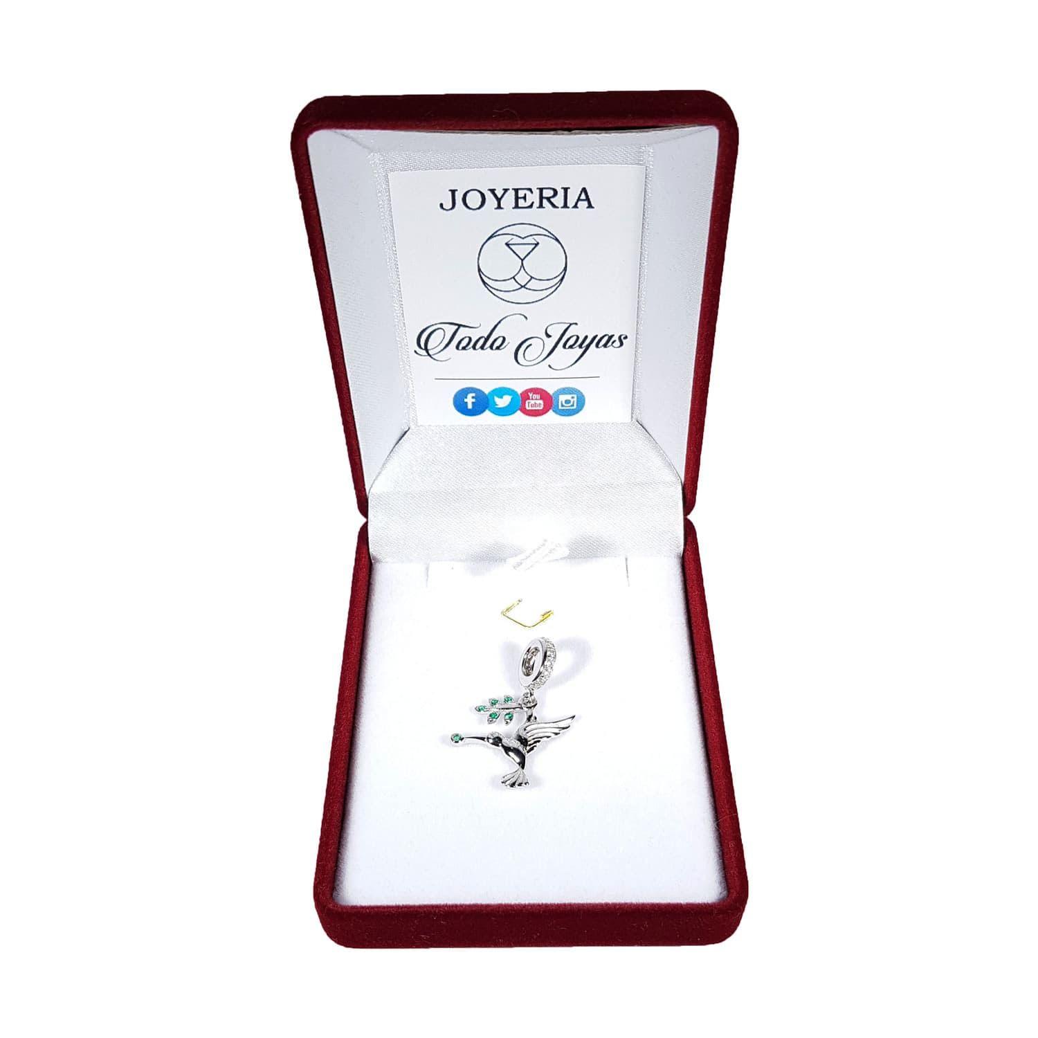 Charm Dije Plata 925 Colibri con Rama-1