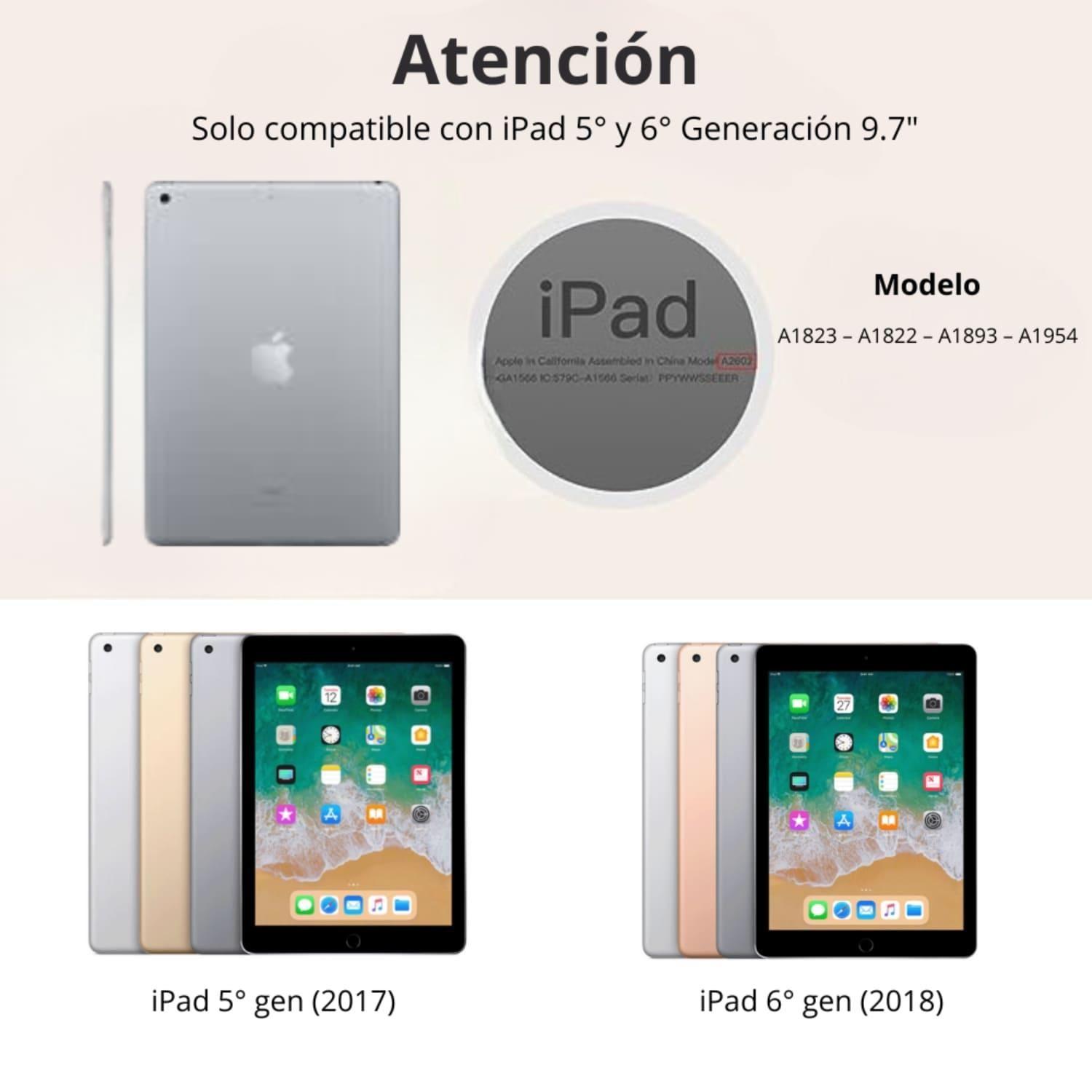 Funda Para iPad 9.7 (5 y 6) Ranura Lápiz Y Atrás Traslúcida-5