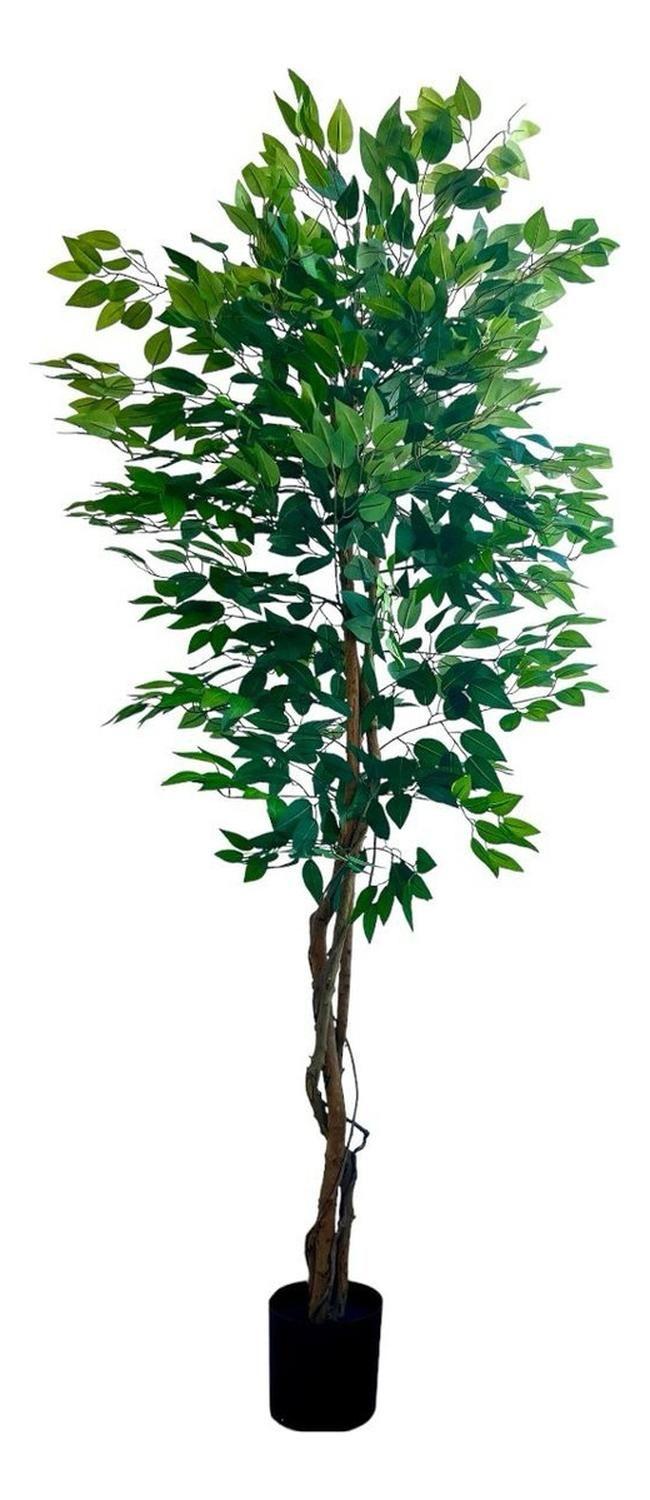 Ficus Decorativo 180 cm - 1180 Hojas p/ Interior y Terraza-7