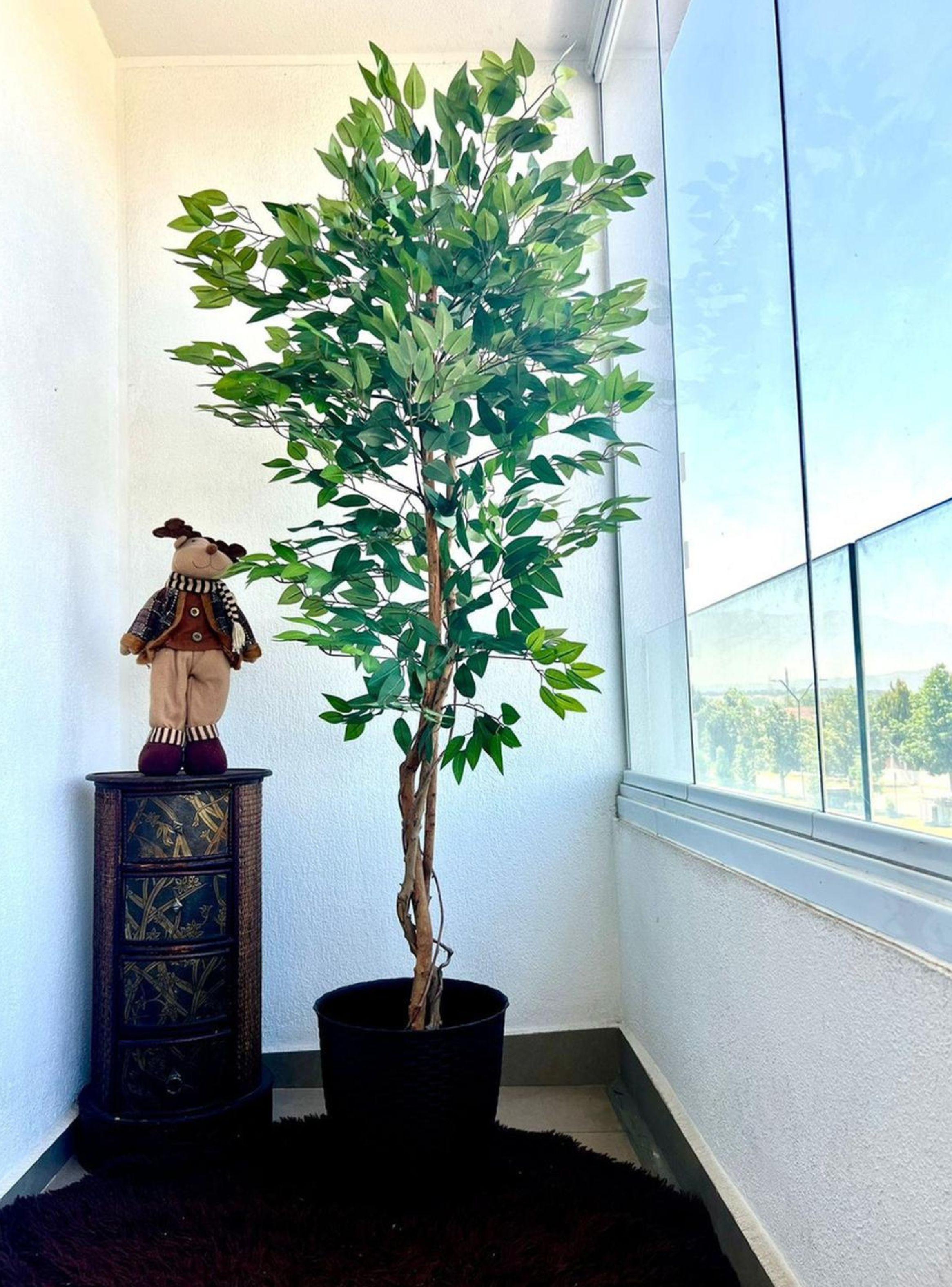Ficus Decorativo 180 cm - 1180 Hojas p/ Interior y Terraza-5