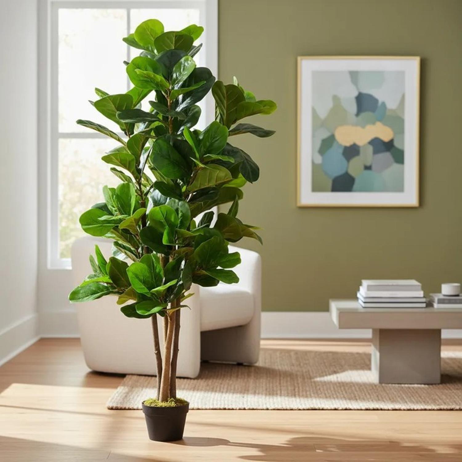 Planta Artificial Ficus Lyrata 150 Cm Verde-2