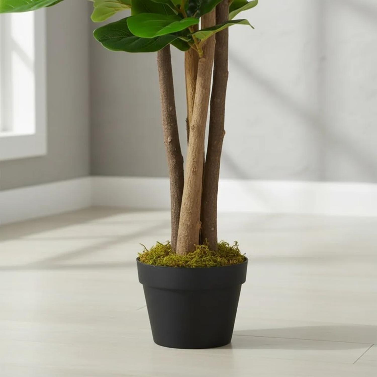 Planta Artificial Ficus Lyrata 150 Cm Verde-4