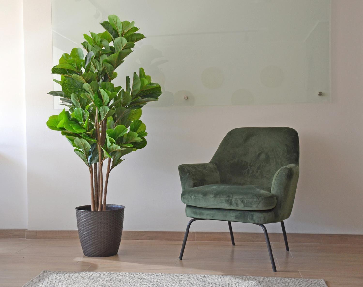 Planta Artificial Ficus Lyrata 150 Cm Verde-6