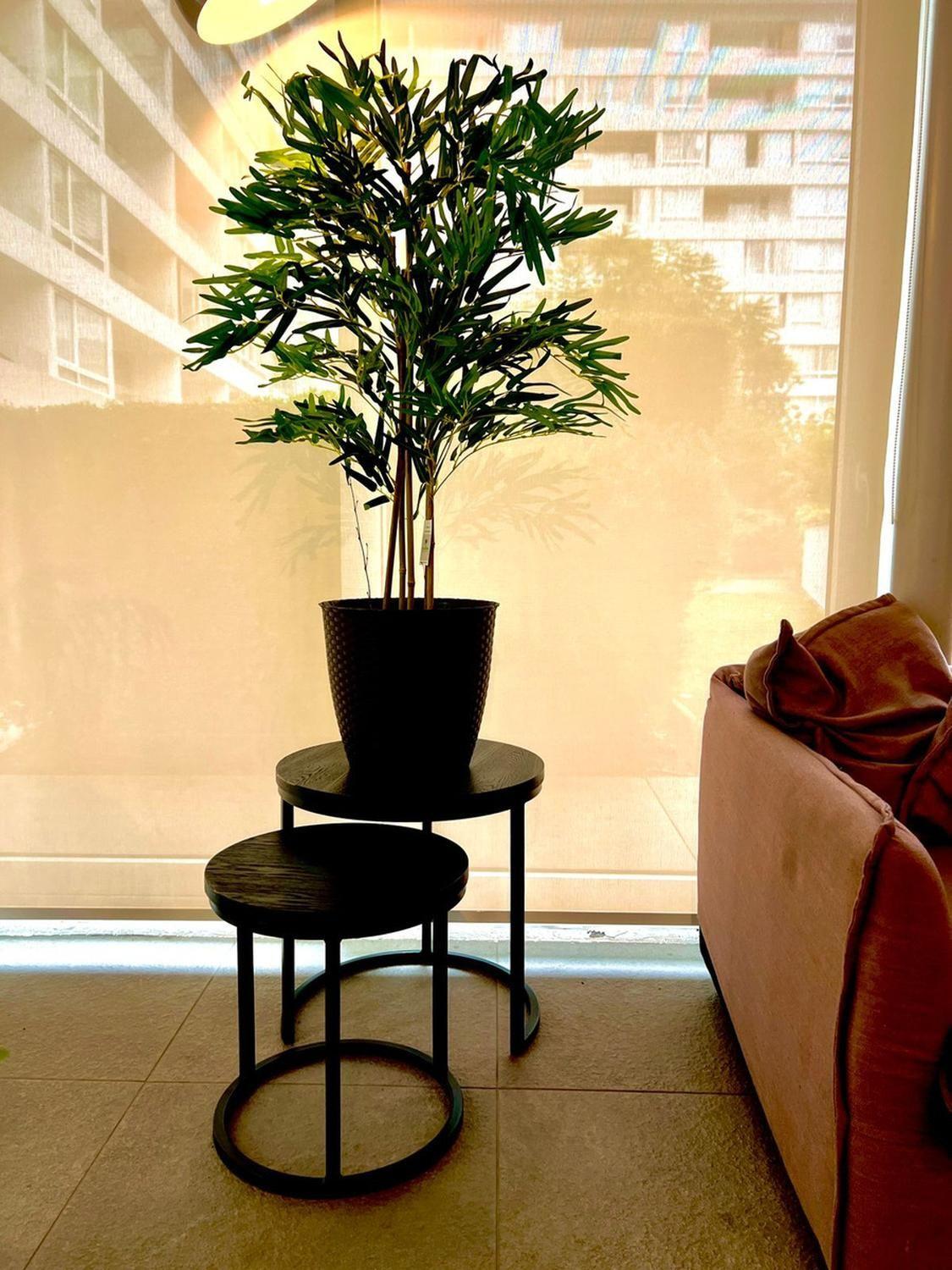 Bamboo 120 Cm. / 730 Hojas Verde-7
