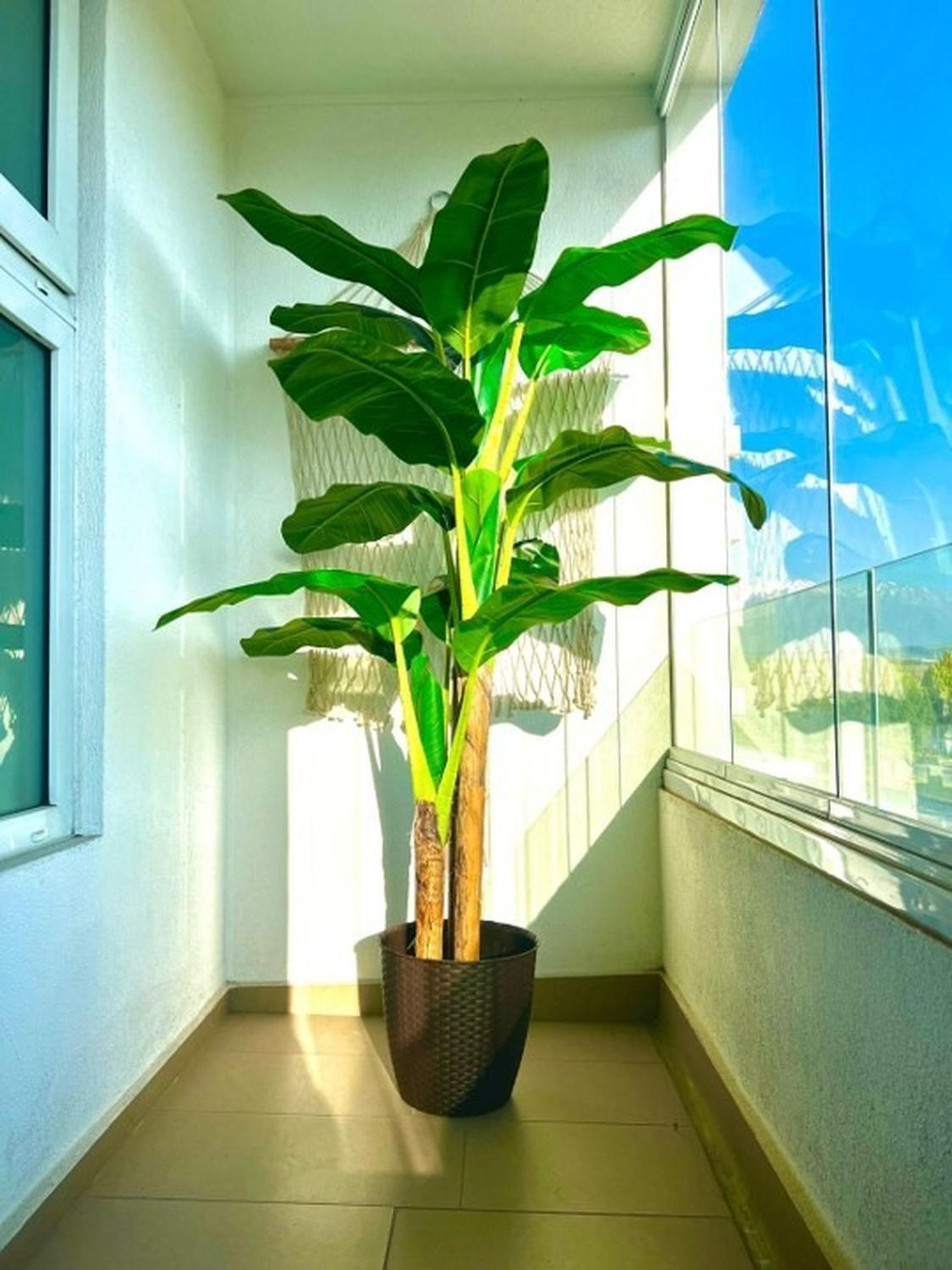 Macetero Rattan 30 Cm L Café / Arbusto Real-3