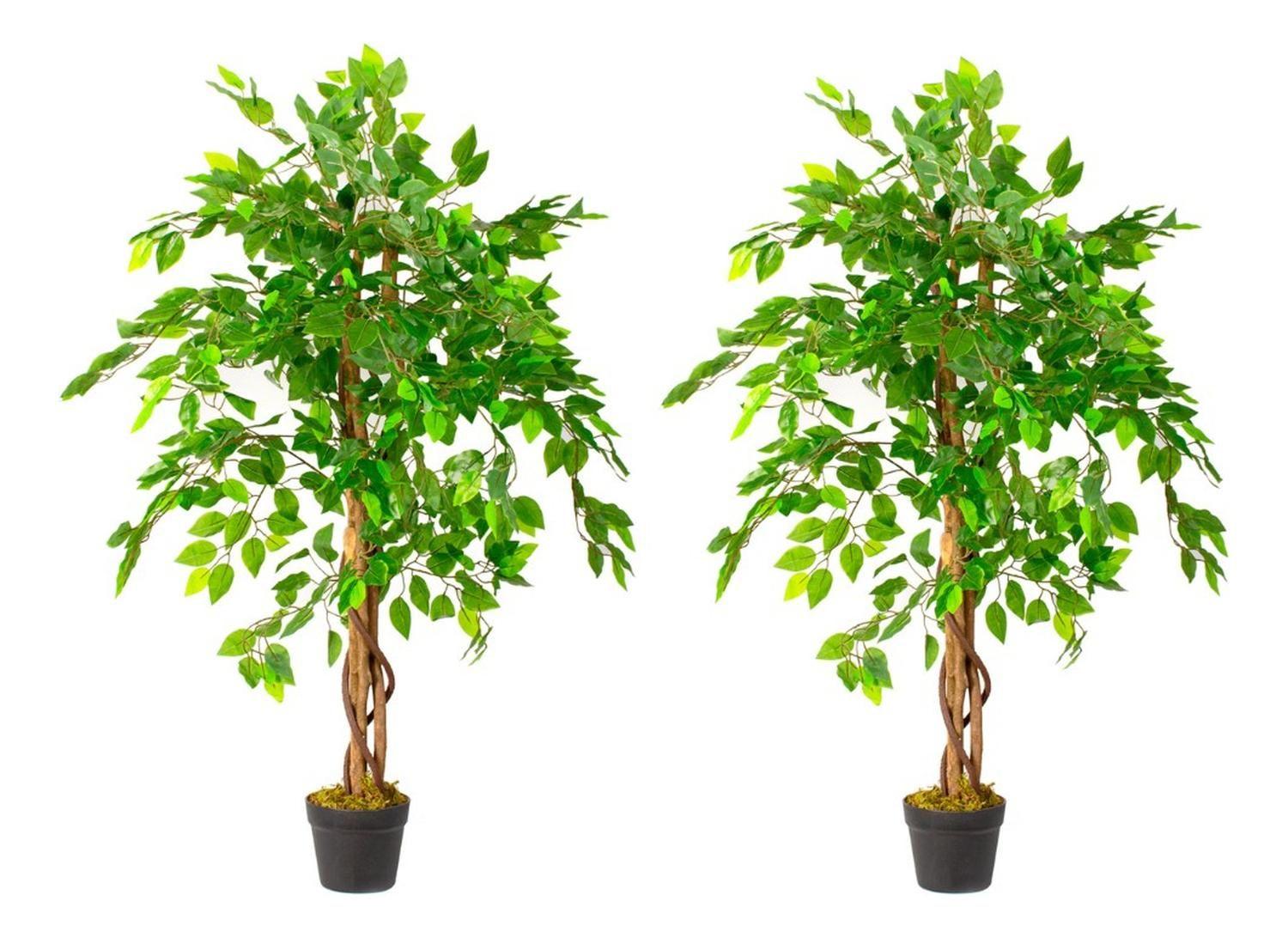 Pack 2x1 Planta Artificial Ficus Benjamina 120 cm c/ 630 hjs-0