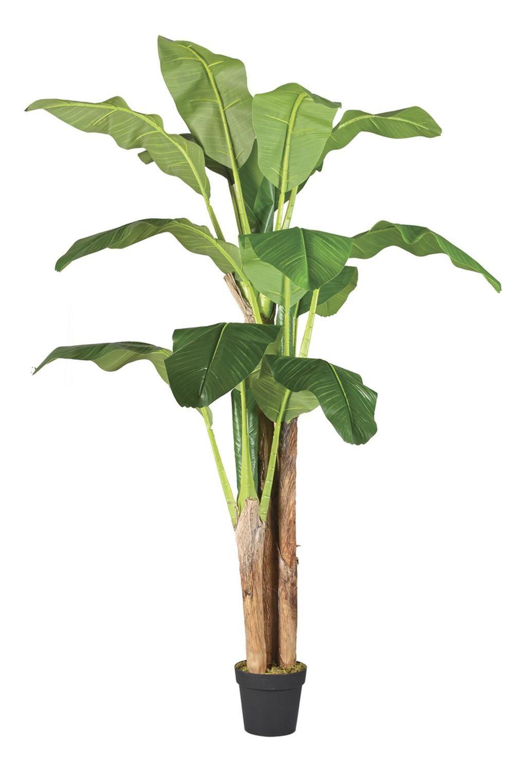 Planta Banano Artificial 180 cm - 14 Hojas Decoración Premium-0
