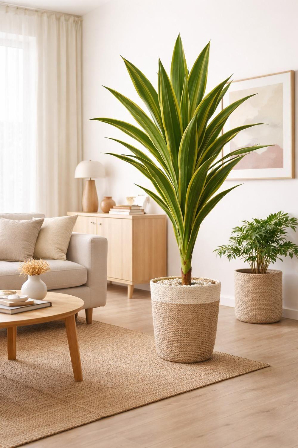 Drácaena Artificial Altura 160 cm Planta Decorativa Interior-2