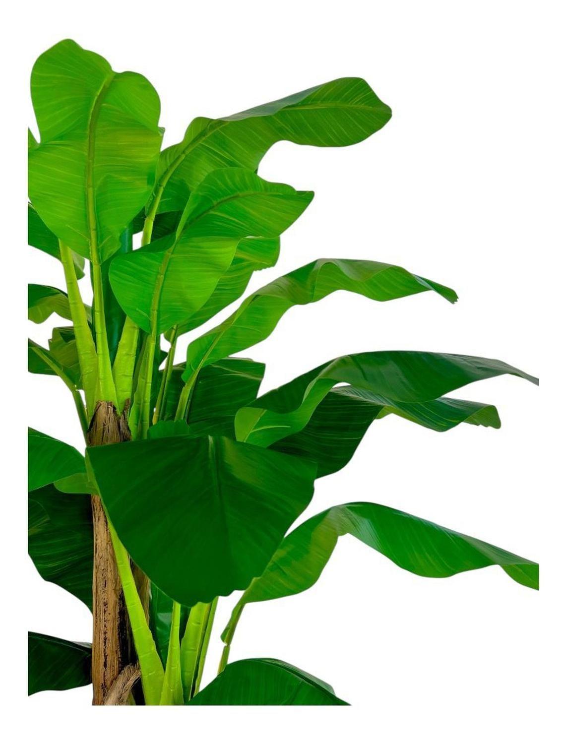 Planta Artificial Banano 230 Cm Verde-4