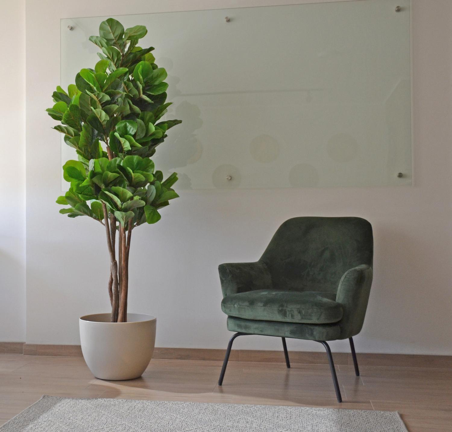 Planta Artificial Ficus Lirata 180 cm / 254 hojas Verde-1