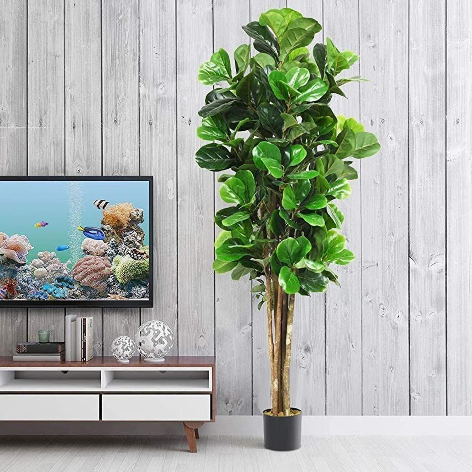 Planta Artificial Ficus Lirata 180 cm / 254 hojas Verde-2