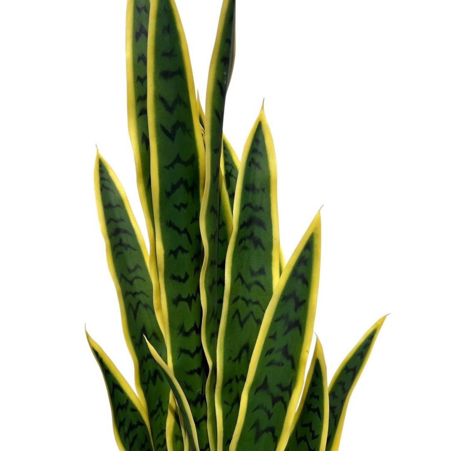 Planta Artificial Lengua de Suegra Sansevieria 75 cm/18 hjs-5