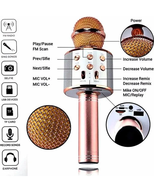 Microfono Karaoke Inalambrico-2