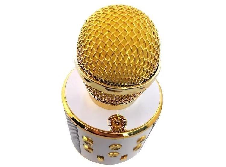 Microfono Karaoke Inalambrico-2