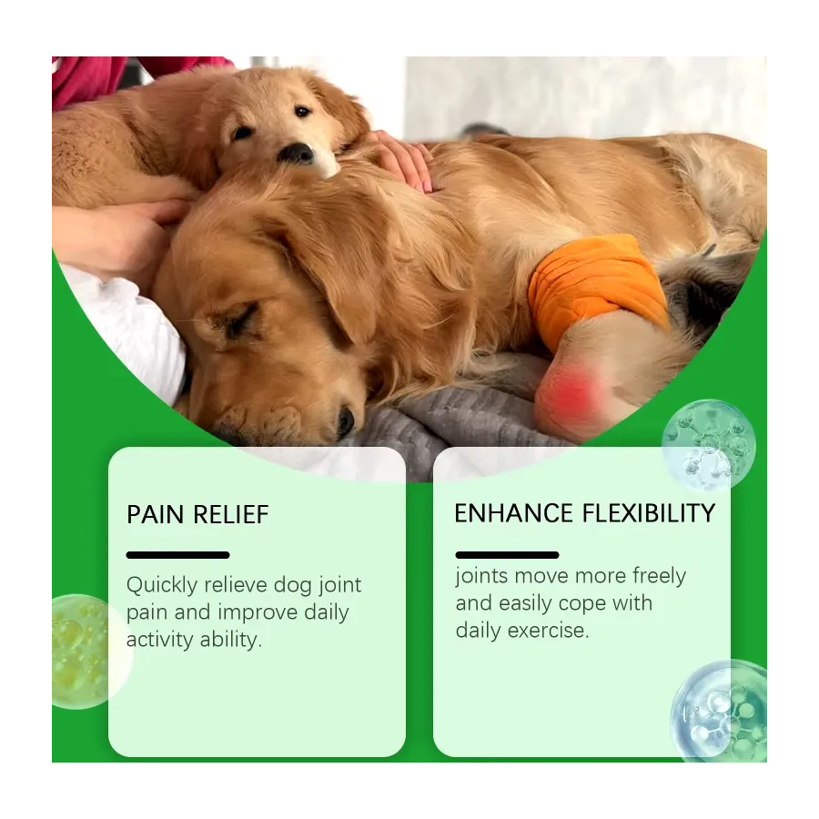 Dog Joint Pet Glucosamina Cuidado Articulaciones Perros-2