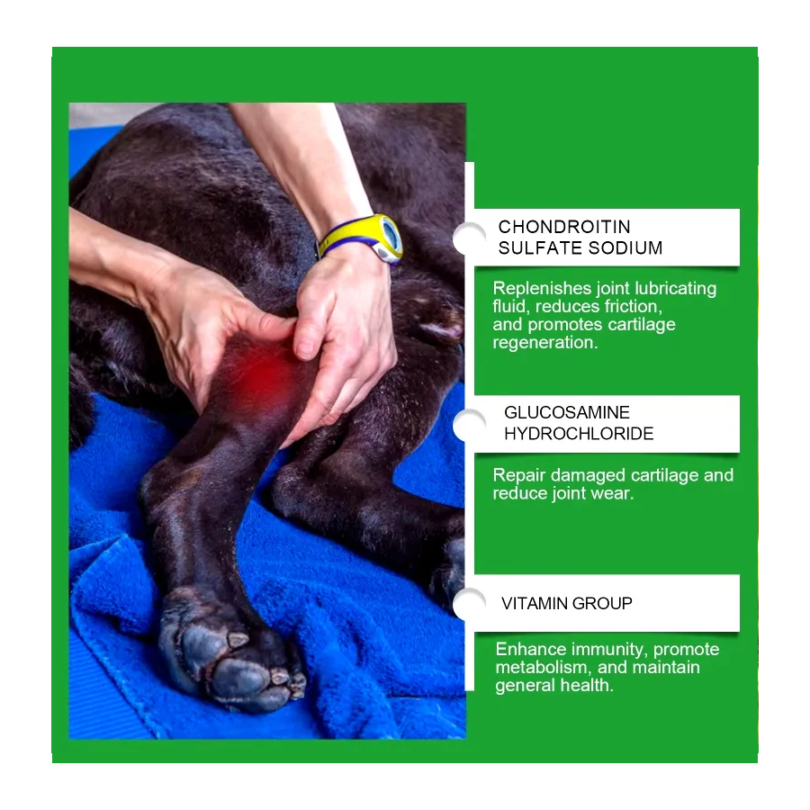 Dog Joint Pet Glucosamina Cuidado Articulaciones Perros-5