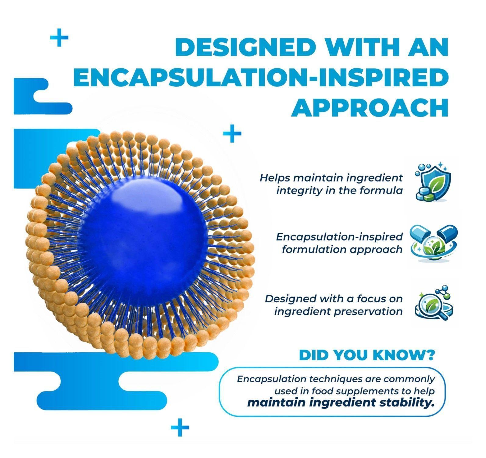 Hmb Liposomal B-hydroxy B-methyl Butyrate 3000mg Aminoacidos 60 caps-2